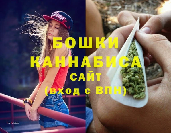 гидропоника Богданович