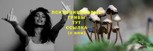 гидропоника Богданович