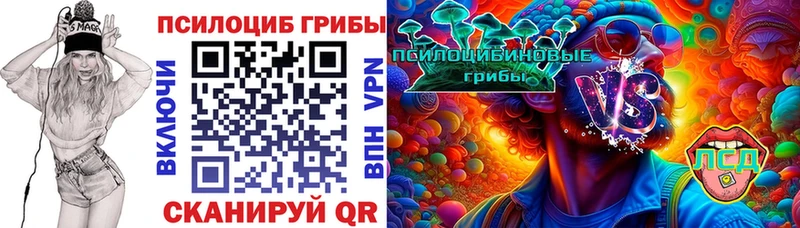 Галлюциногенные грибы Psilocybe  как найти наркотики  Муравленко 